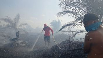 林業局は西スマトラの火災と熱の最後の12時間と呼んでいます