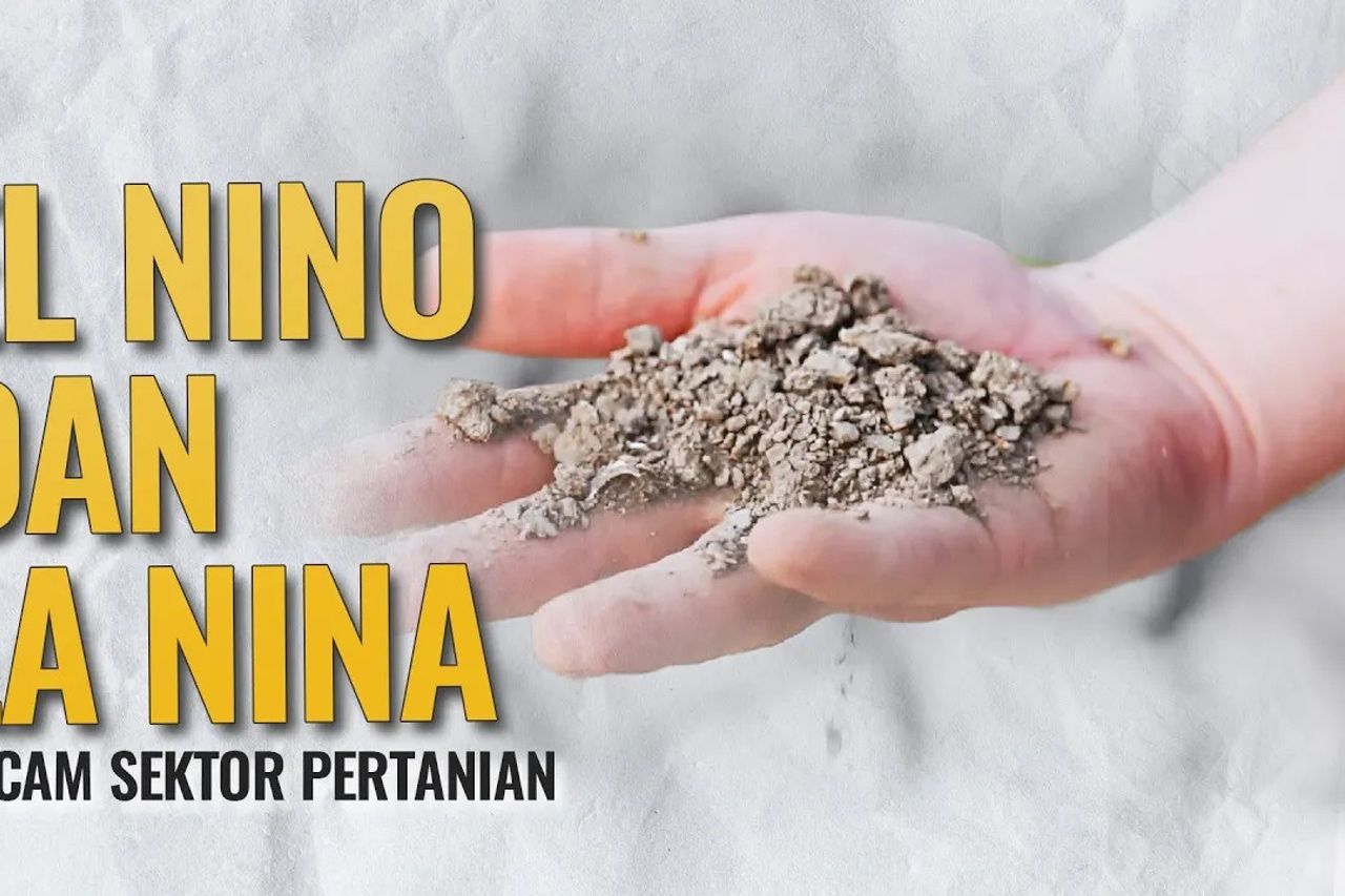 VIDEO: After El Nino Is La Nina Published, The Agriculture Sector Is Threatened?
