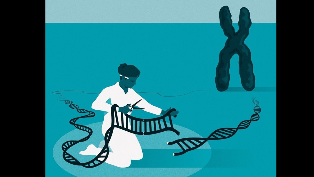 Charpentier dan Doudna Menangi Nobel untuk Teknologi Rekayasa DNA CRISPR/Cas9, Apa Itu dan Kenapa Kontroversial?