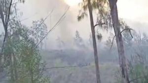Tim Gabungan Padamkan Titik Api Baru di Kawasan  Gunung Rinjani