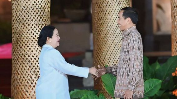 Puan Sebut Hubungan Legislatif dan Eksekutif Era Jokowi Sangat Baik