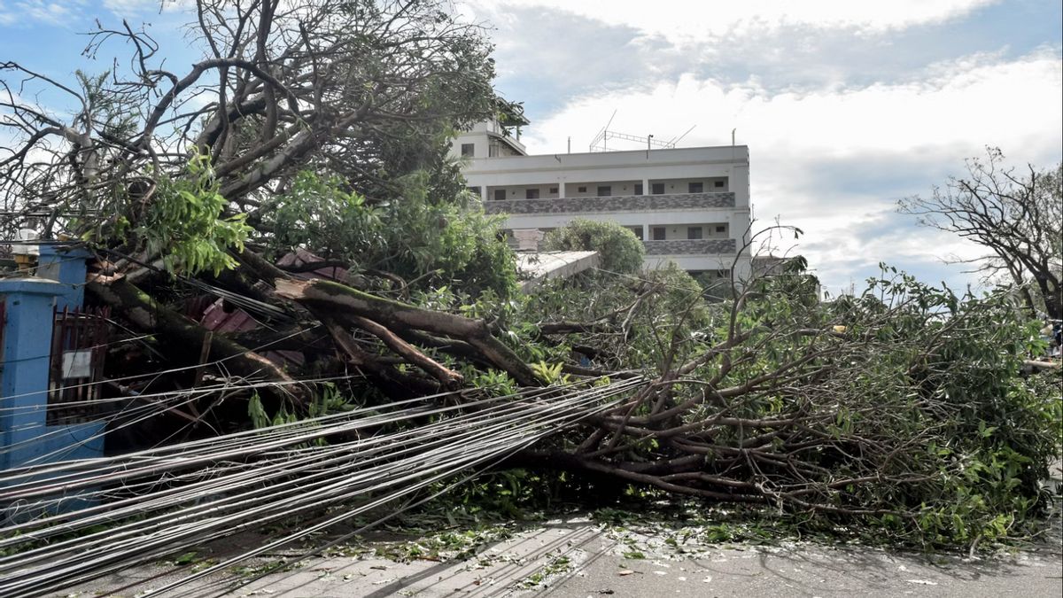 Topan Kajiki Renggut Nyawa 8 Orang termasuk Satu di Thailand