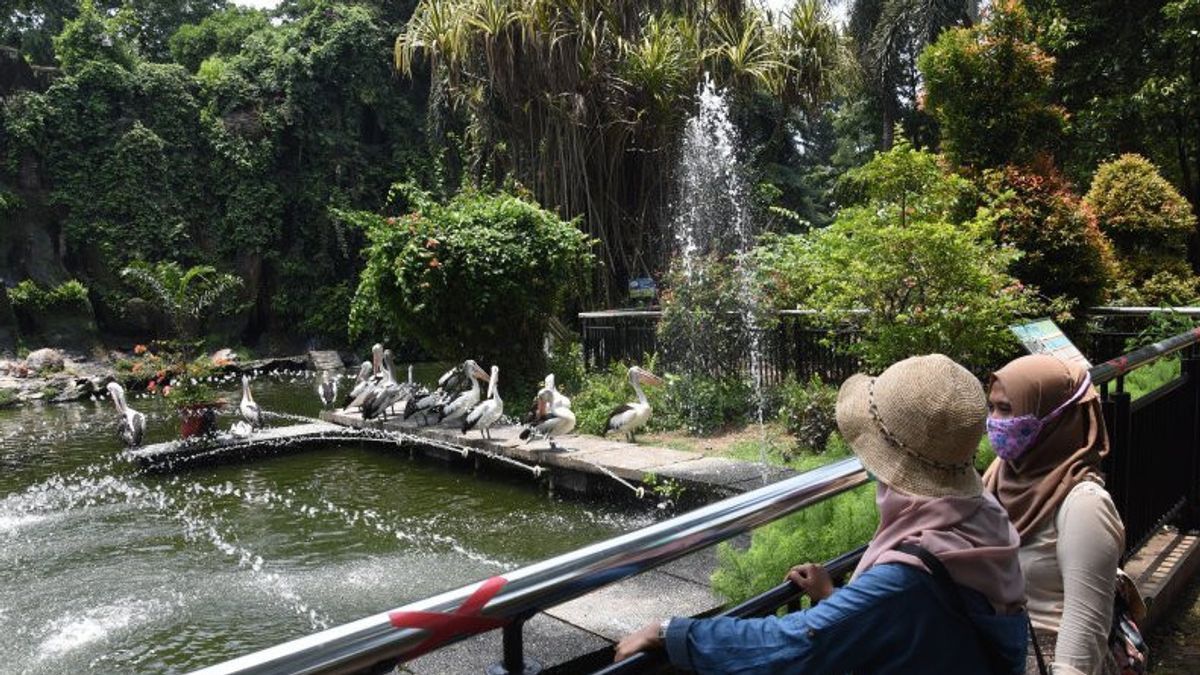 Perkuat Penerapan Protokol Kesehatan, Taman Ragunan Besok Tutup