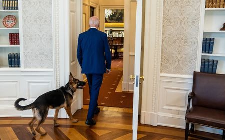 Anjing Presiden Biden 10 Kali Gigit Anggota Secret Service dalam Kurun Waktu Empat Bulan