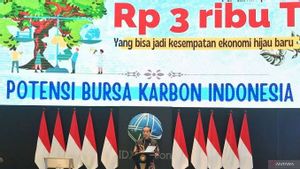 IDX Records Carbon Exchange Transactions Of IDR 19.27 Million In June 2024