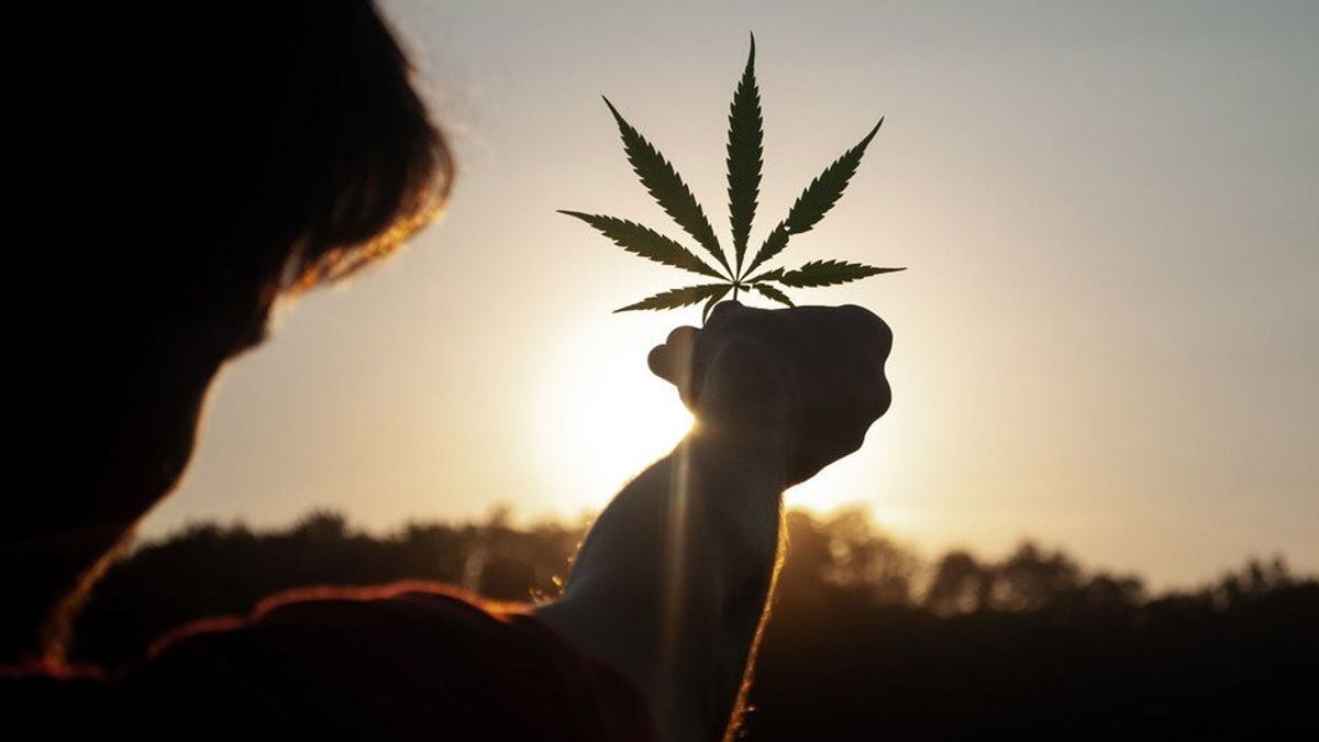 Rejection Of Legalization Of Medical Marijuana In Indonesia: If You Are Worried About Abuse, Glue Is Often Used To Fly