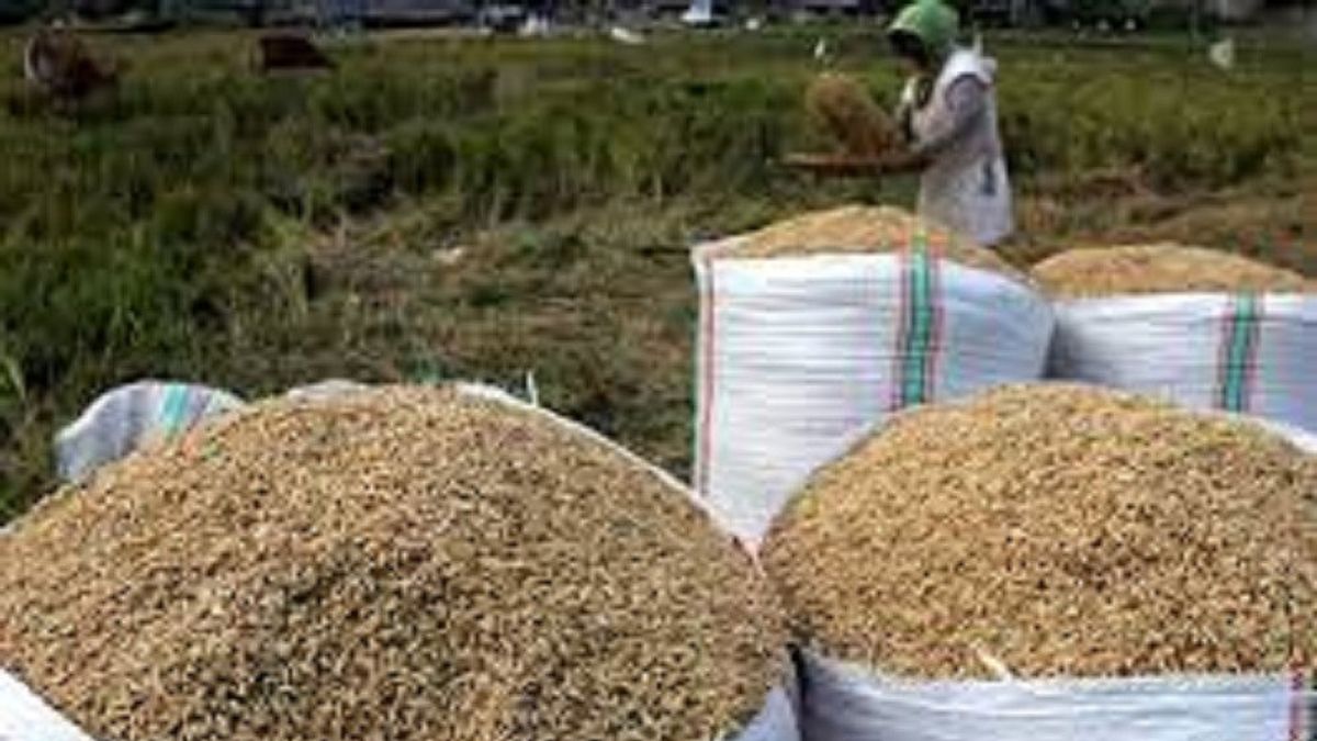 Badanas Raises Government Purchase Prices For Rice And Grain