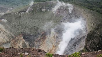 Viral Video Erupsi Gunung, BNPB Ungkap Fakta Sebenarnya