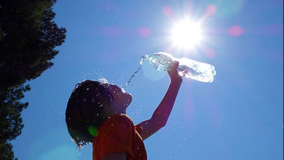 L’été 2023 est le plus chaud des 2 000 dernières années dans l’hémisphère nord