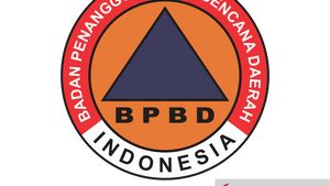 BPBD Sumsel Terus Kembangkan Desa Tangguh Bencana di 17 Kabupaten/Kota
