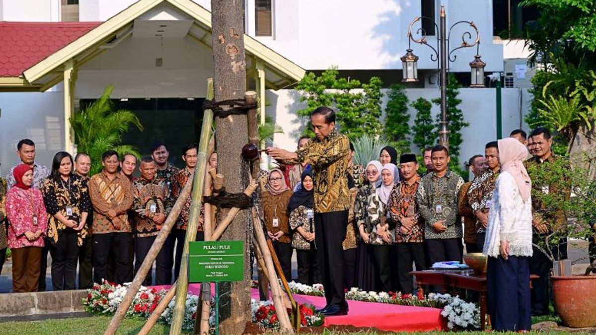 signification symbolique d’un arbre de potin que Jokowi a posé au palais présidentiel