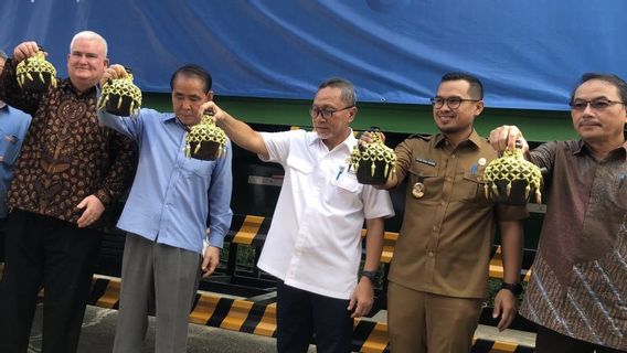 Upah Buruh Lebih Murah, Mendag Zulhas Ajak Produsen Sepatu Nike Bangun Pabrik di Lampung