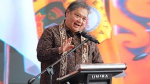 Menko Airlangga Beberkan Fondasi Ekonomi Hijau, Data Makro Jadi Kunci Transisi Energi