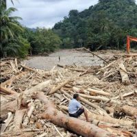  Gelondongan Kayu Muncul di Banjir Bandang Sumatera, Komisi IV DPR Segera Panggil Kemenhut 