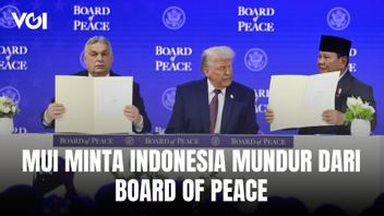 MUI Minta Indonesia Mundur dari Board of Peace, Mensesneg Akan Lakukan Dialog