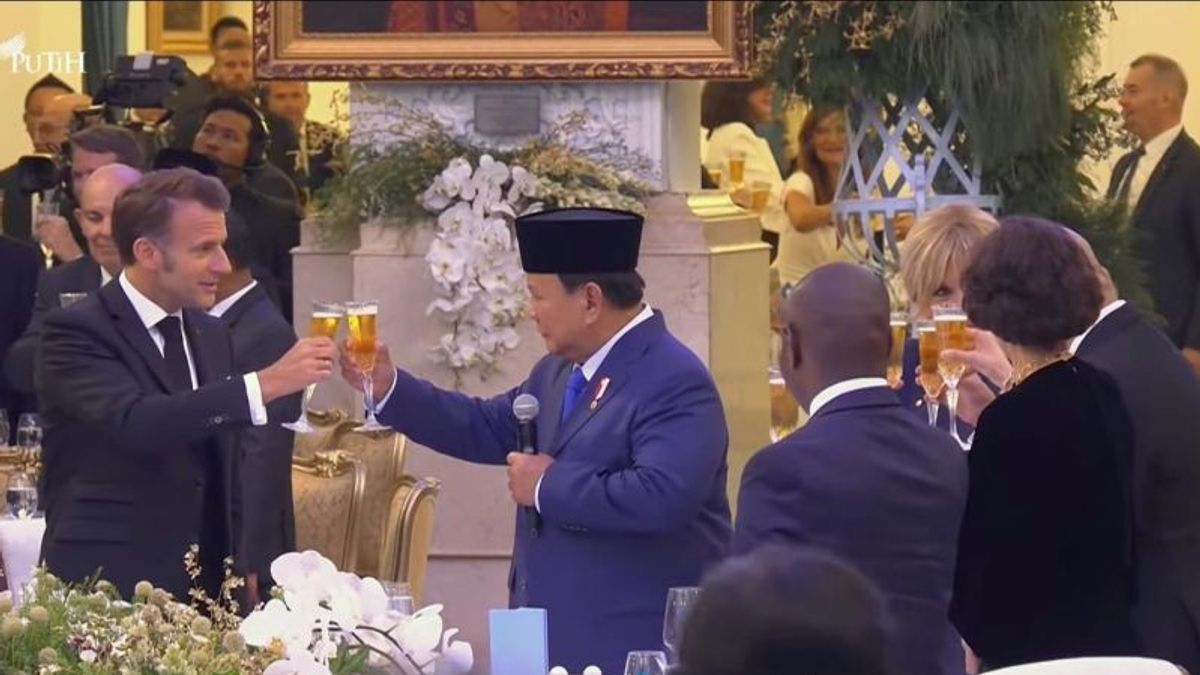 Prabowo Bicara ke Macron Kedekatan Dirinya dengan Prancis