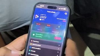 博东Snapboost投资在布洛拉造成17人死亡，警方下手