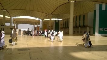  Jemaah Haji Asing Alami Kesulitan, Kementerian Haji Arab Saudi Carikan Penerbangan Alternatif