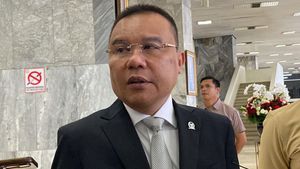 Gerindra Tegaskan Pertemuan Prabowo dan Surya Paloh Tak Bahas Jatah Kursi Menteri