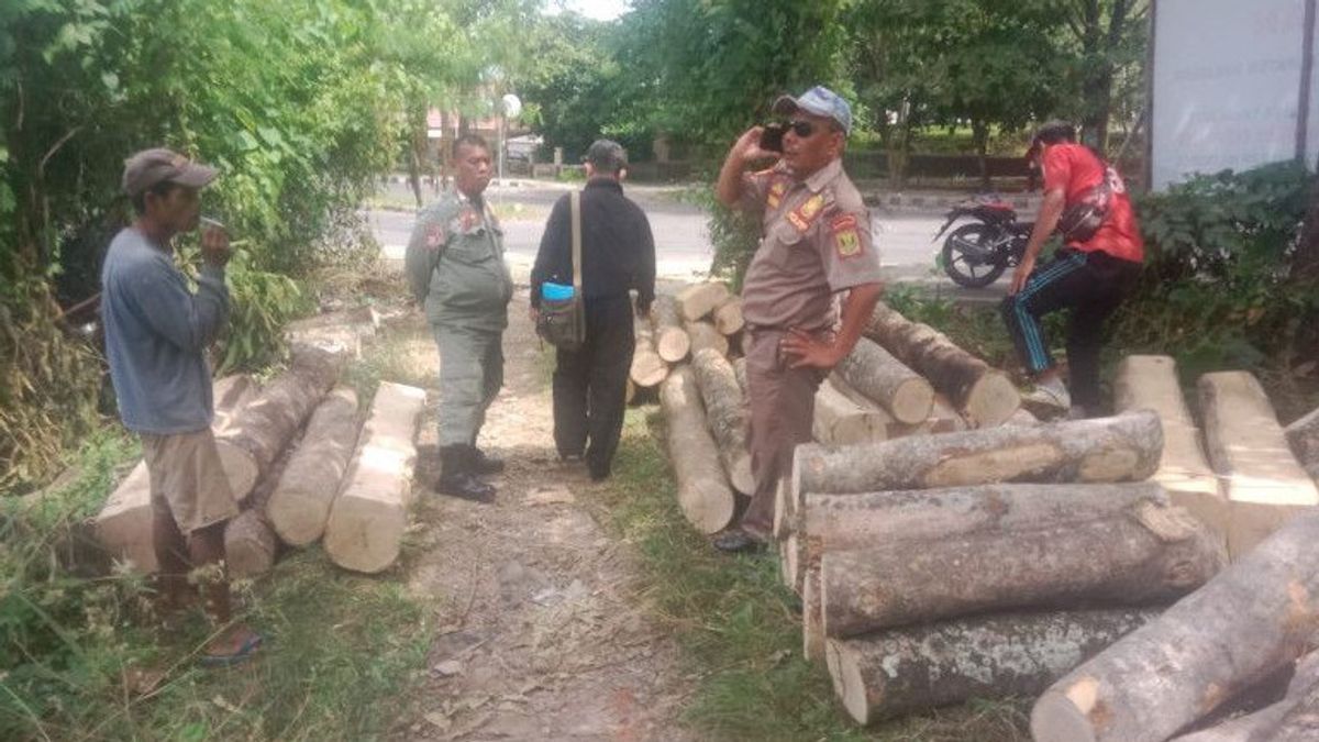 Tree Developer In Land Owned By Sukabumi Regency Government Examined By Satpol PP