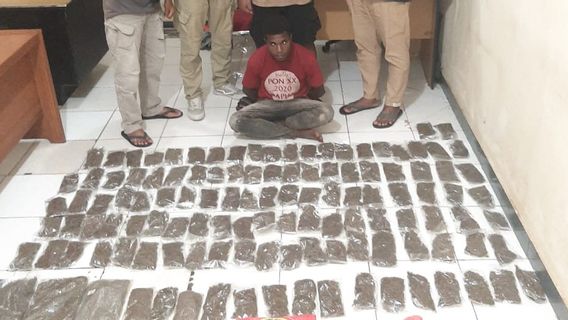 Papua New Guinea Residents Arrested By Papuan Police Drug Buser When Bringing 9 Kg Cannabis With Avanza Car