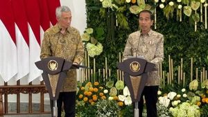 President Jokowi Says 29 Singaporean Companies are Enthusiastic About Investing in IKN