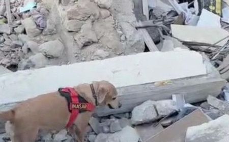 Lupita dan Gizi Tim dari K9 Polri Beraksi di Kota Hatay Cari Korban Gempa Turki