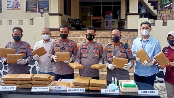 Ganja Kering Diamankan di Pelabuhan Bakauheni, Tersangka Telah Ditangkap