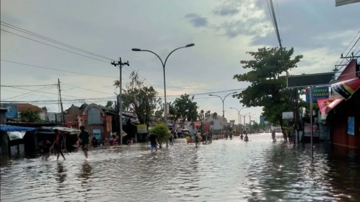 Semarang Flooded, City Government Asks For Pumps To PUPR For Management