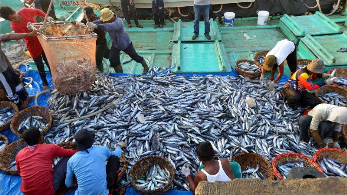 وتستهدف الشركة إنتاج مصايد الأسماك بحلول عام 2025 ليصل إلى 24.58 مليون طن.