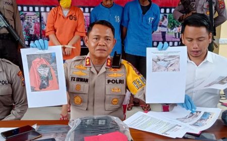 Bukan Mutilasi, Potongan Tubuh di Tepi Pantai Merdeka Kupang Timur Dimangsa Buaya