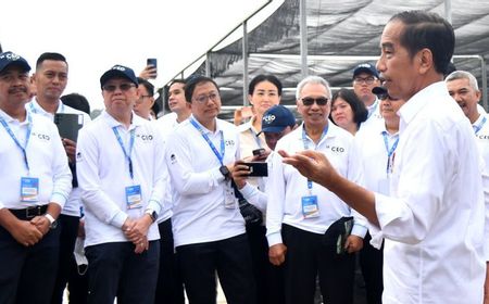 Ajak Bos-bos Perusahaan Tinjau Persemaian Mentawir Kaltim, Jokowi Bicara Nusantara Forest City