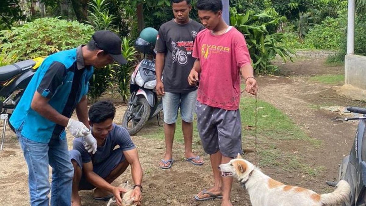 Toddler In Pasaman Dies Of Bitten Dog Allegedly Rabies