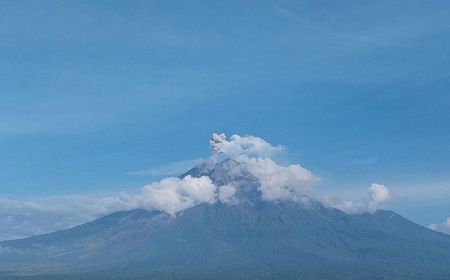 Erupsi 8 Kali, Gunung Semeru Lontarkan Abu Vulkanik 500 Meter