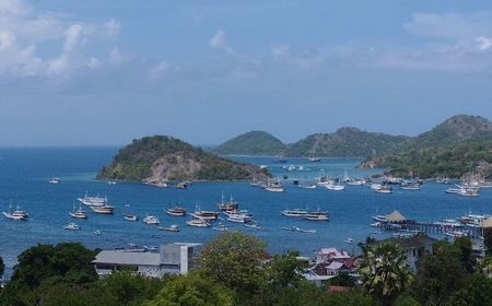 Penumpang Tertahan di Bandara Komodo Imbas Erupsi Lewotobi Dievakuasi Pelni Keluar Labuan Bajo