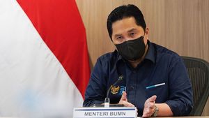 Menteri BUMN Erick Thohir Ungkap Alasan Bangun RS Internasional di Bali