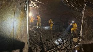 Dirjen Minerba Sebut Freeport Bisa Kena Sanksi Imbas Longsor di Tambang Bawah Tanah