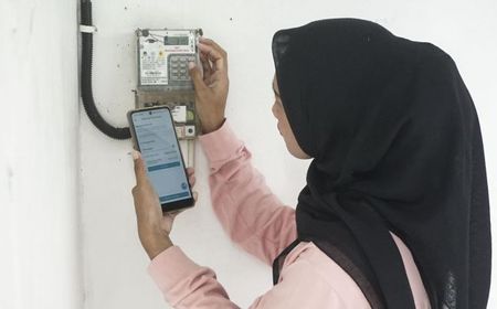 Indef: Pemerintah Perlu Pastikan Pemberian Diskon Tarif Listrik di 2025 Tepat Sasaran