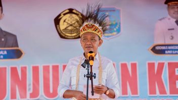 PLN prévoit de construire 1,2 MW de PLTM dans Supiori Papouasie pour la vérification énergétique