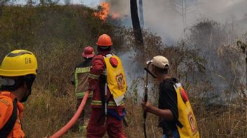 Kebakaran Hutan Gunung Guntur Garut Berhasil Dipadamkan