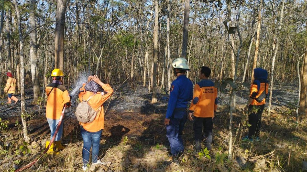 Karhutla Melanda 2 Kabupaten di Jateng dalam 1 Hari