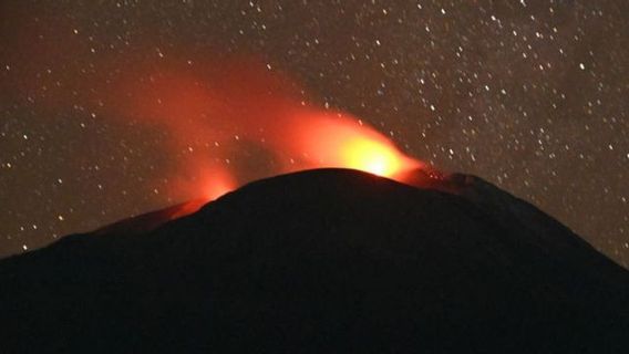 Masuk Siaga Tiga, Radius Bahaya Aktivitas Warga di Sekitar Gunung Ile Lewotolok Diperluas