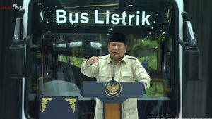 Bus Listrik Lokal Didorong Masuk Daerah, Prabowo Minta Pemda Belanja Produk RI