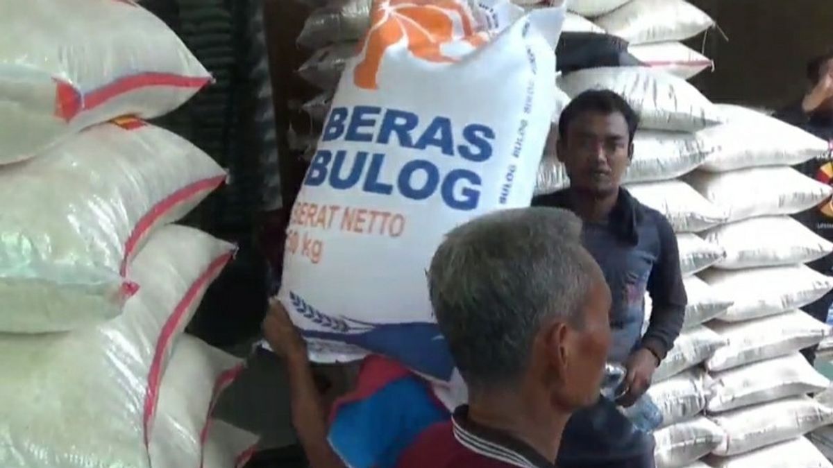 Bulog's Rice Supply Is Insufficient In Needs, The Evidence Is Medium Quality Rice Still Lang And Increasingly Mahal