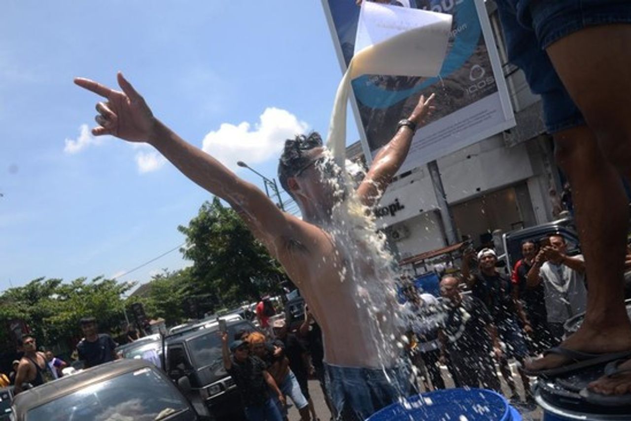 Les bains de lait de vache sont-elles une forme de protestation, à la suite d'inondations d'importation ou de mauvaises qualité locales?