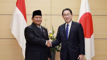 Prabowo Temui PM Kishida Bahas Kolaborasi Industri dan Pertahanan