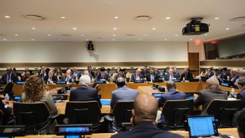 Foreign Minister Sugiono: BRICS Has An Important Role In Promising Palestine's Statement