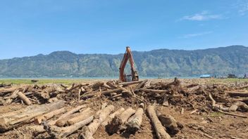 SK Menhut Landasi Penggunaan Kayu Hanyutan Demi Pemulihan Pascabencana
