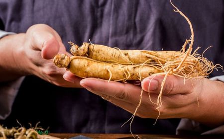 Tanaman Herbal Pembersih Ginjal, Apa Saja Jenisnya?