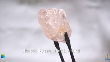 在安哥拉发现的170克拉粉红色钻石，可能是过去300年来发现的最大钻石